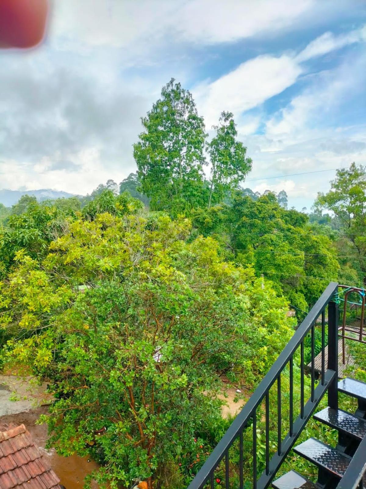 Ella Cloud Castle Homestay Dış mekan fotoğraf